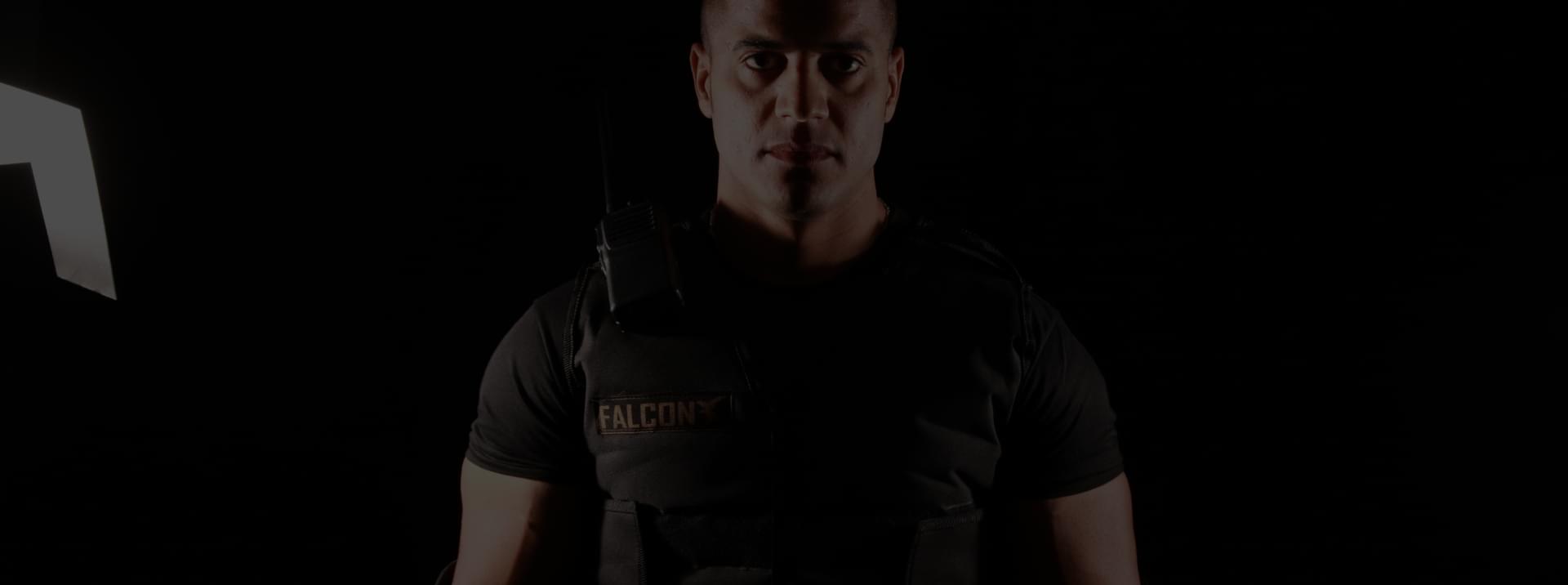 Falcon
