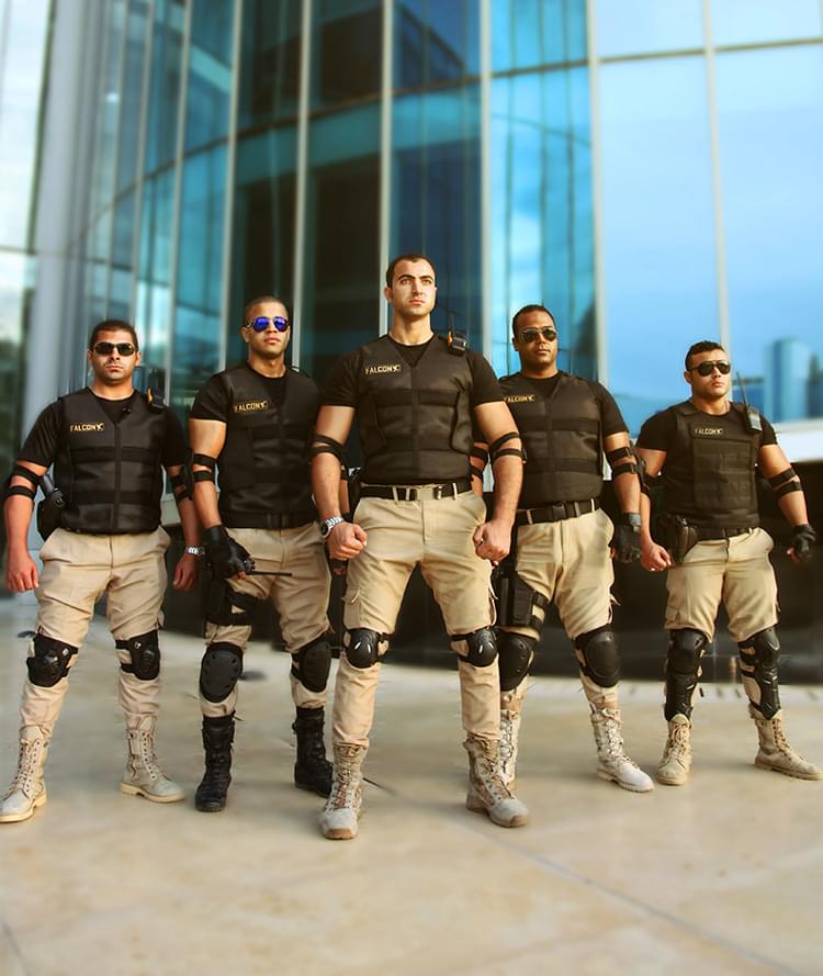 Falcon officers